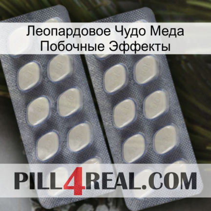 Леопардовое Чудо Меда Побочные Эффекты 07